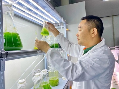 微藻技术革新 污水变“营养液”，高志刚博士团队荣获中国商业联合会科学技术奖一等奖